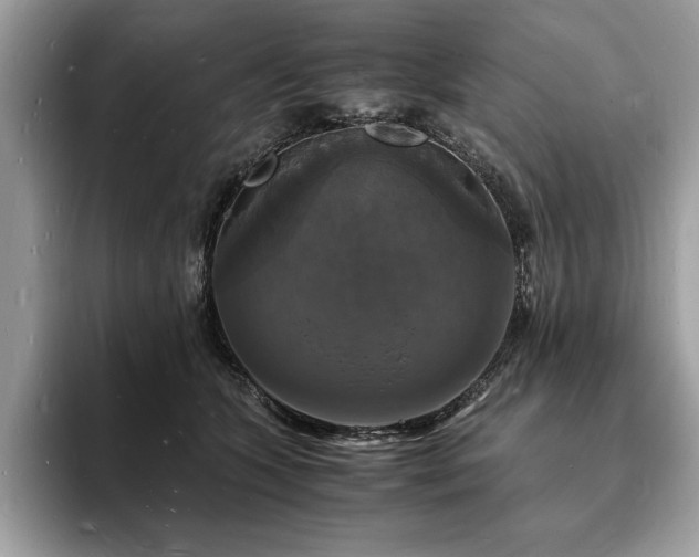 X0000094060563200710191103