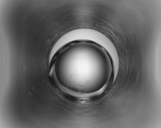 X0000094060564200710191103