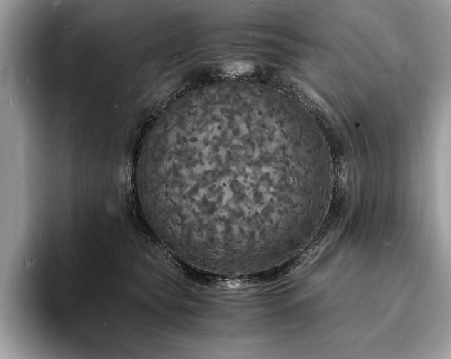 X0000094060565200710191103