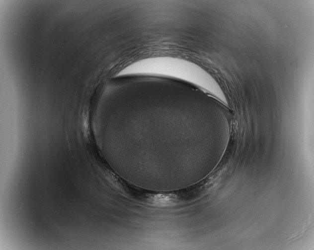 X0000094060566200710191103