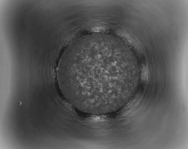 X0000094060569200710191103