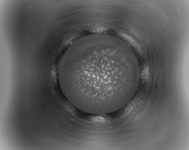 X0000094060572200710191103