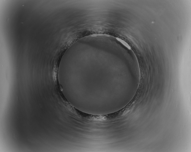 X0000094060576200710191103