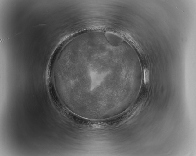 X0000094060579200710191103