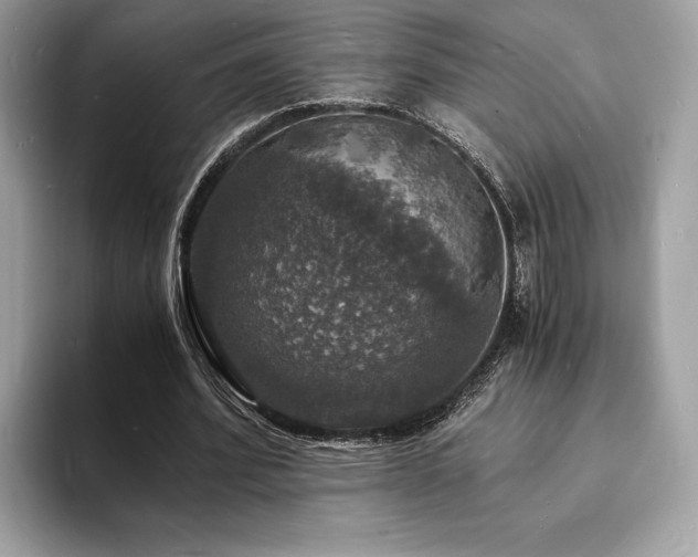 X0000094060580200710191103
