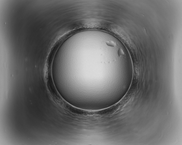 X0000094060583200710191103