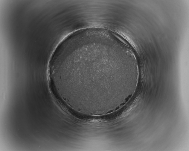 X0000094060584200710191103