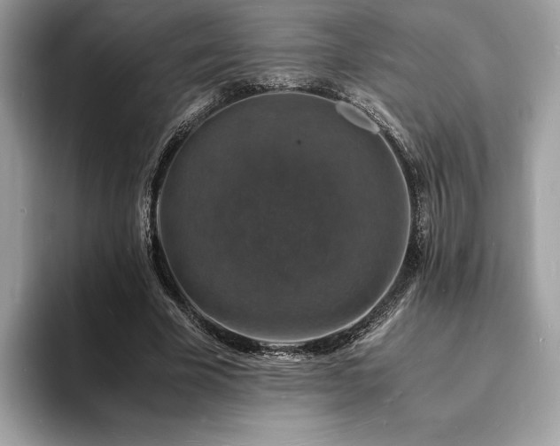 X0000094060585200710191103