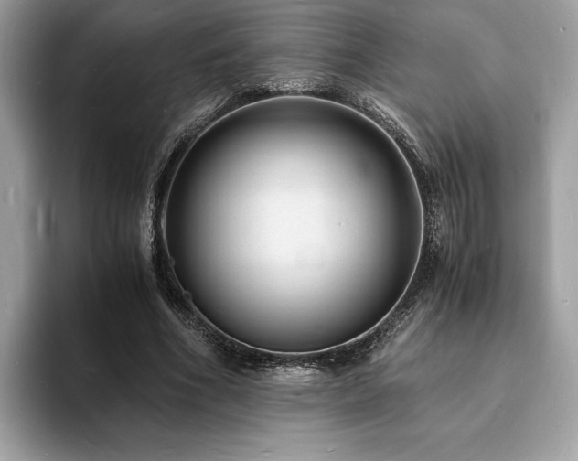X0000094060586200710191103