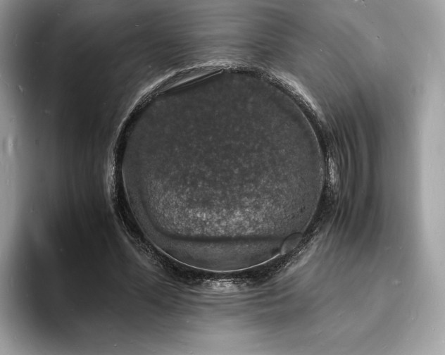 X0000094060588200710191103
