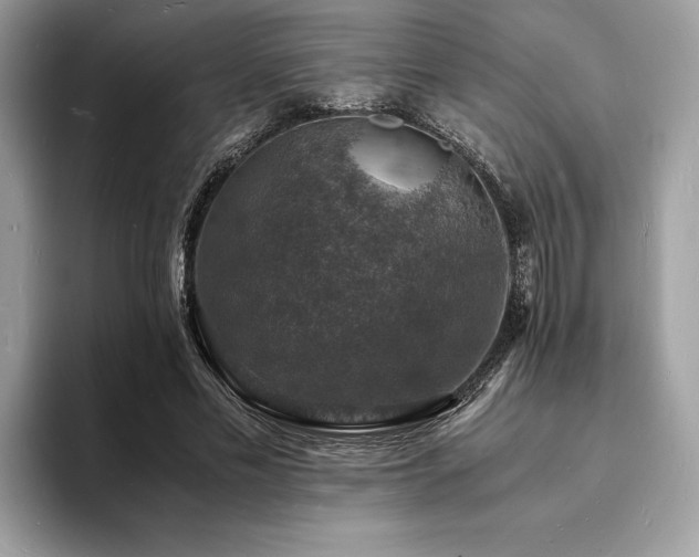 X0000094060589200710191103