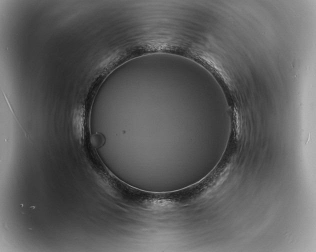 X0000094060590200710191103