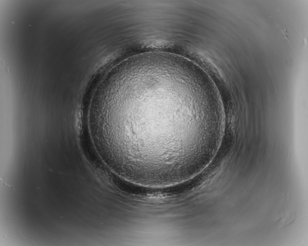 X0000094060591200710191103