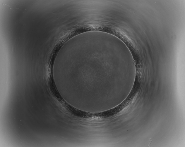 X0000094060593200710191103
