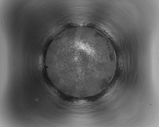 X0000094060594200710191103
