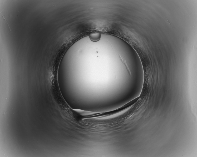 X0000094060595200710191103