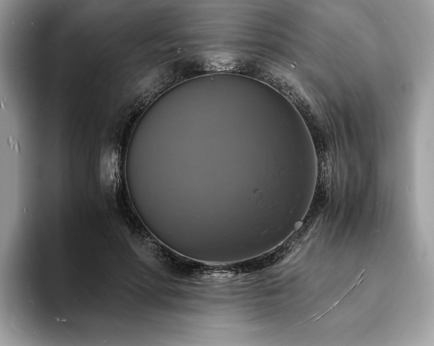 X0000094060598200710191103