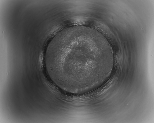 X0000094060600200710191103