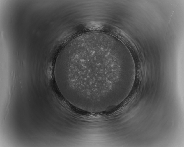 X0000094060604200710191103