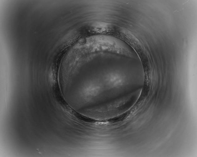 X0000094060606200710191103