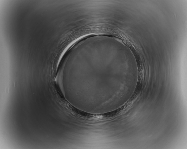 X0000094060609200710191103
