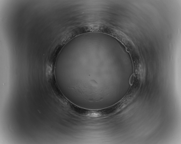 X0000094060610200710191102