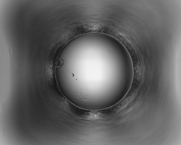 X0000094060612200710191102