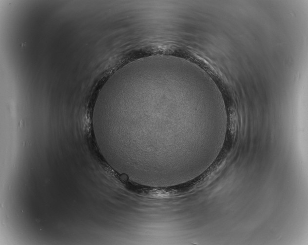 X0000094060613200710191102