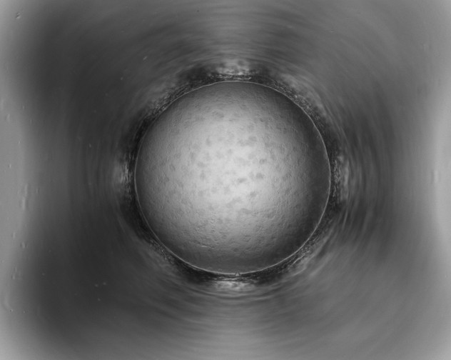 X0000094060614200710191102