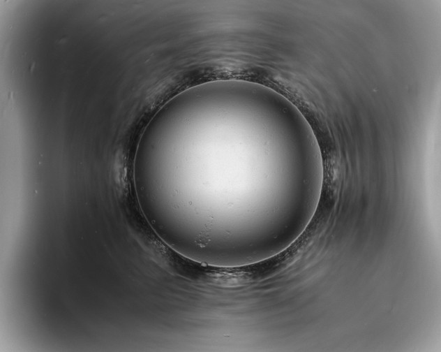 X0000094060615200710191102
