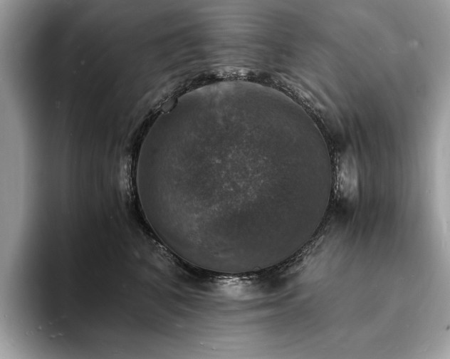 X0000094060616200710191102