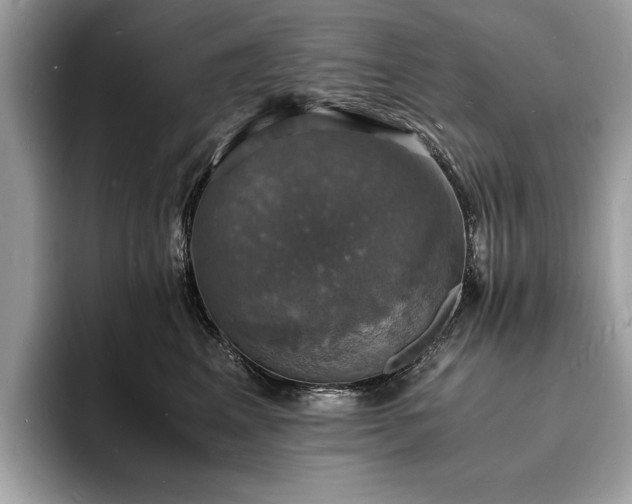 X0000094060617200710191102