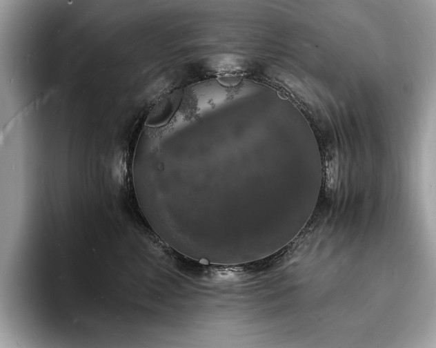 X0000094060618200710191102