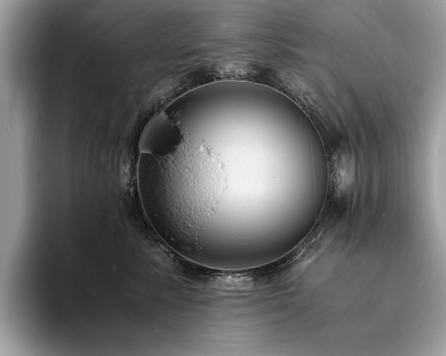 X0000094060619200710191102
