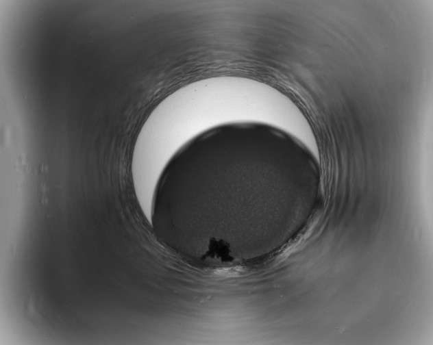 X0000094060621200710191102