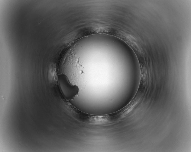 X0000094060622200710191102