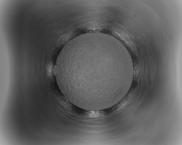 X0000094060623200710191102