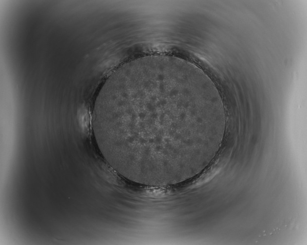 X0000094060624200710191102