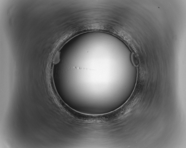 X0000094060625200710191102
