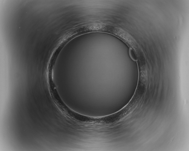 X0000094060626200710191102