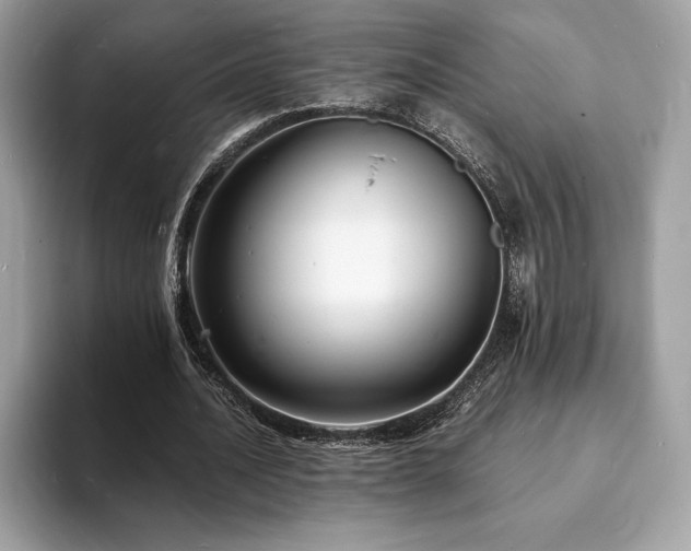 X0000094060628200710191102
