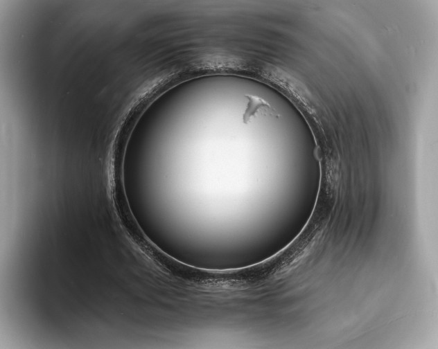 X0000094060629200710191102