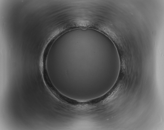 X0000094060630200710191102