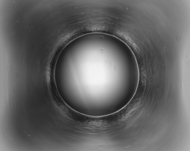 X0000094060631200710191102