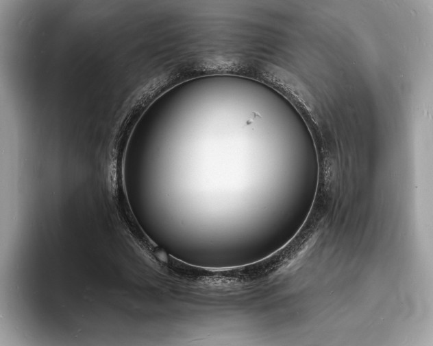 X0000094060633200710191102