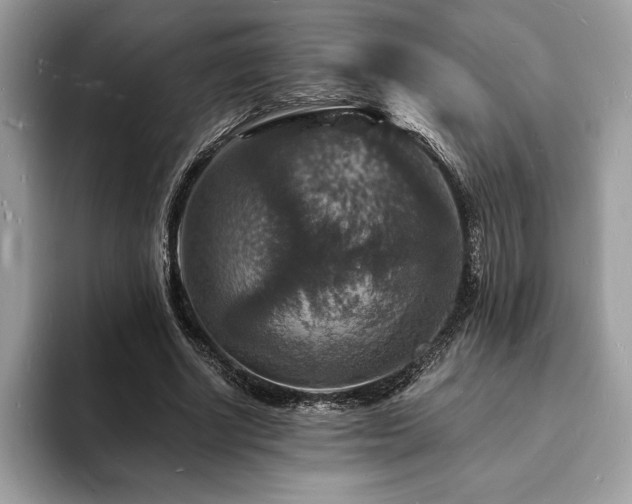 X0000094060634200710191102