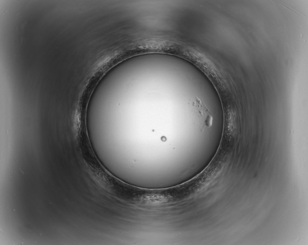 X0000094060636200710191102