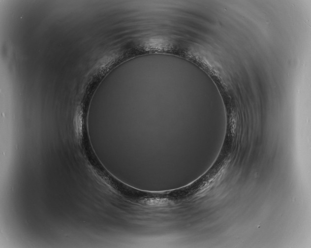 X0000094060637200710191102