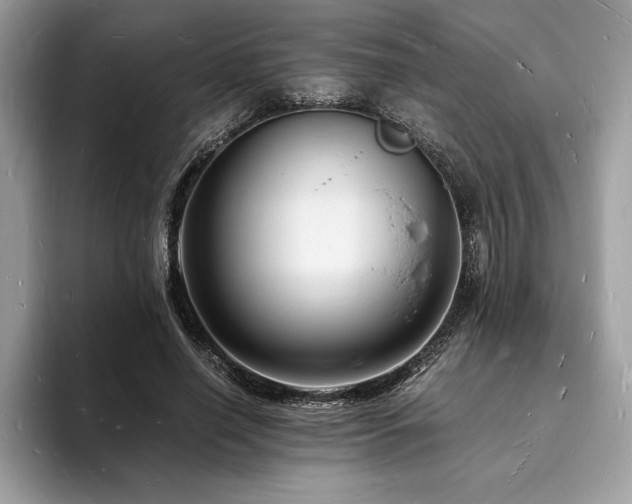 X0000094060638200710191102