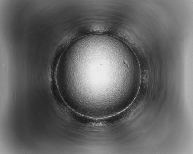 X0000094060639200710191102